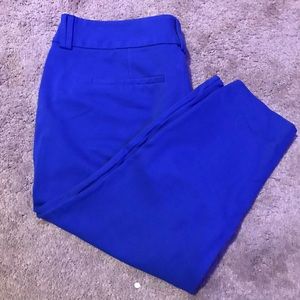 Torrid Blue work dress capri pants